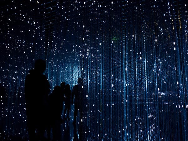 Robynne hu HOrhCnQsxnQ unsplash