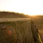 4ad79067 8951 36c8 8c92 d1ea9ebba4ee