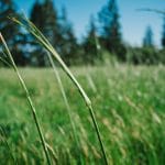 8198ae2c 6374 35bd bedf bddac619b381