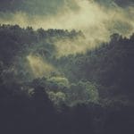 D23e00d2 e1ef 3aa9 bab5 677117525e4c